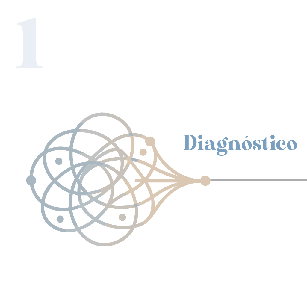 Diagnóstico organizacional